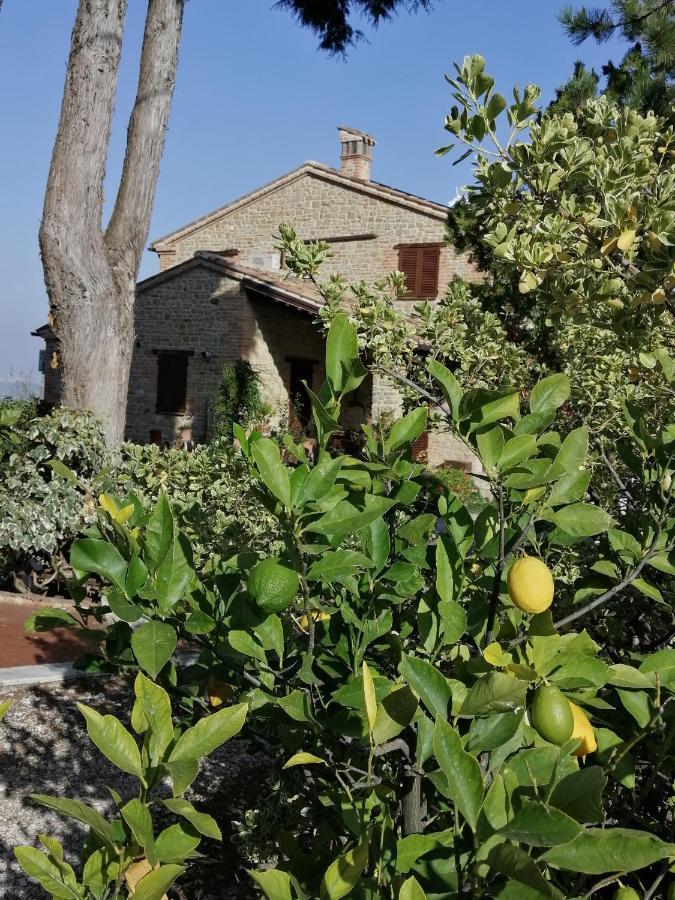 Casale San Martino Agriturismo Bio Sant'Angelo in Pontano Екстериор снимка