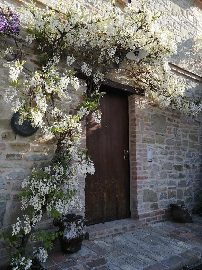 Casale San Martino Agriturismo Bio Sant'Angelo in Pontano Екстериор снимка