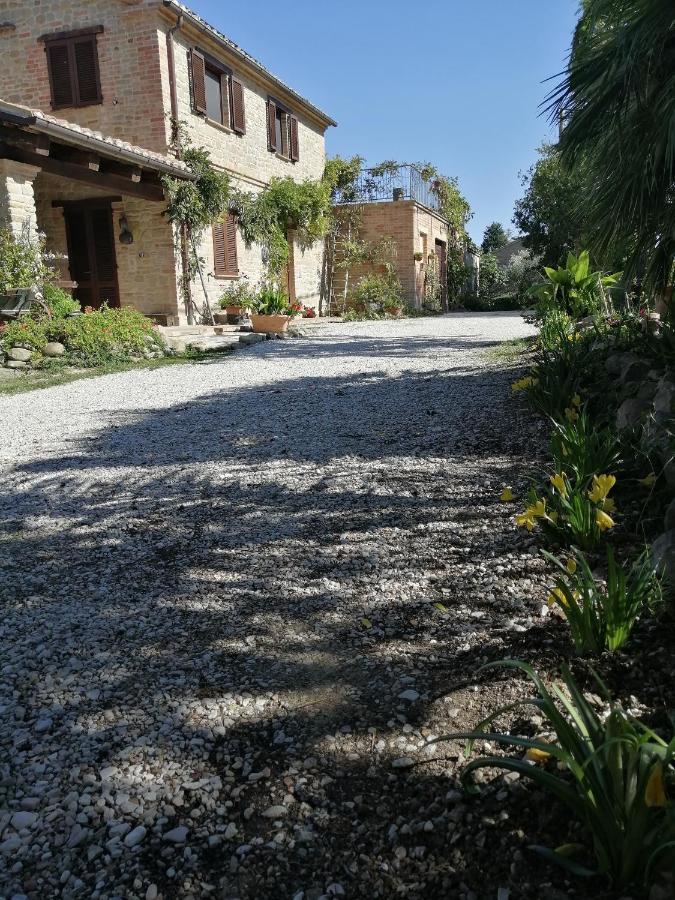 Casale San Martino Agriturismo Bio Sant'Angelo in Pontano Екстериор снимка