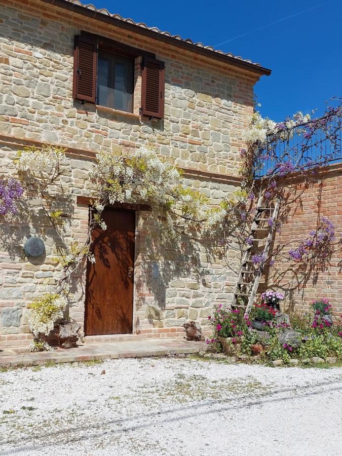 Casale San Martino Agriturismo Bio Sant'Angelo in Pontano Екстериор снимка