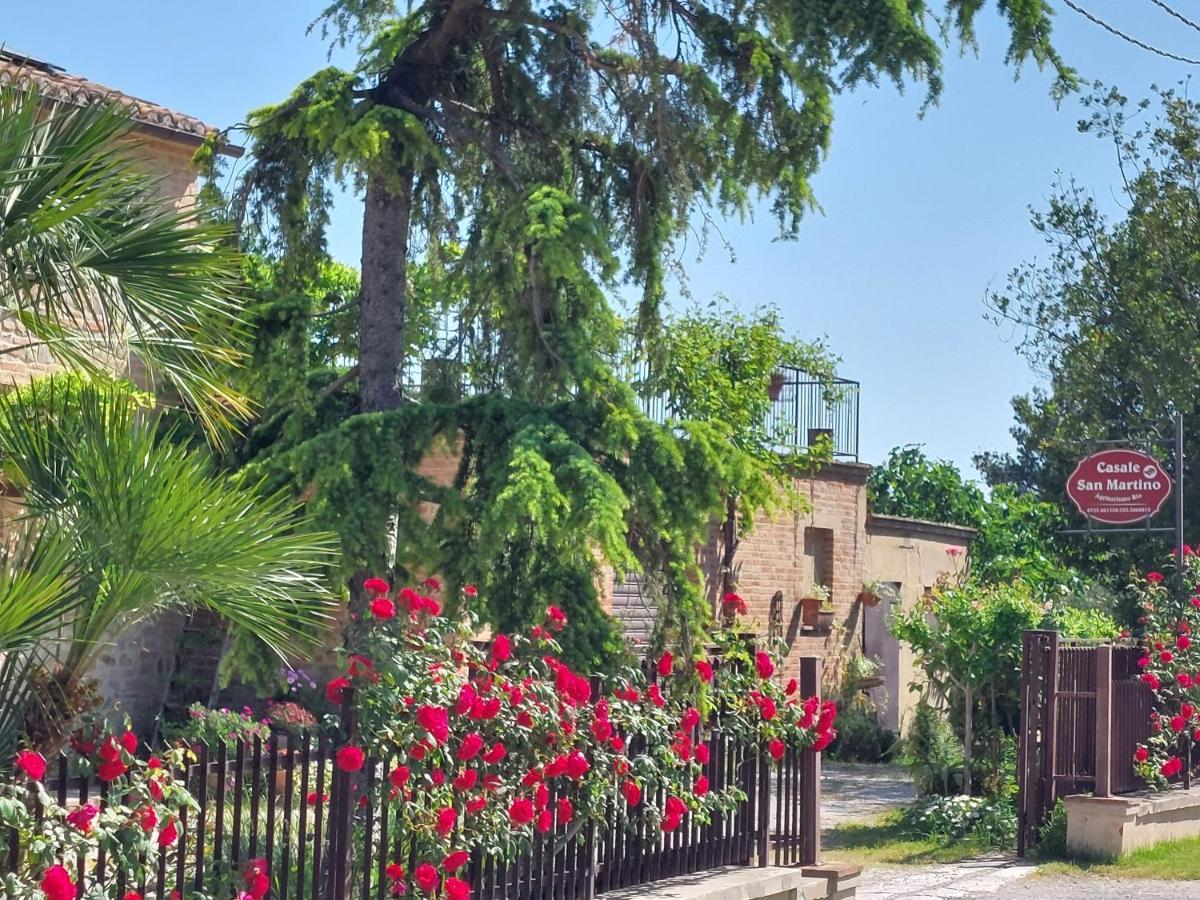 Casale San Martino Agriturismo Bio Sant'Angelo in Pontano Екстериор снимка