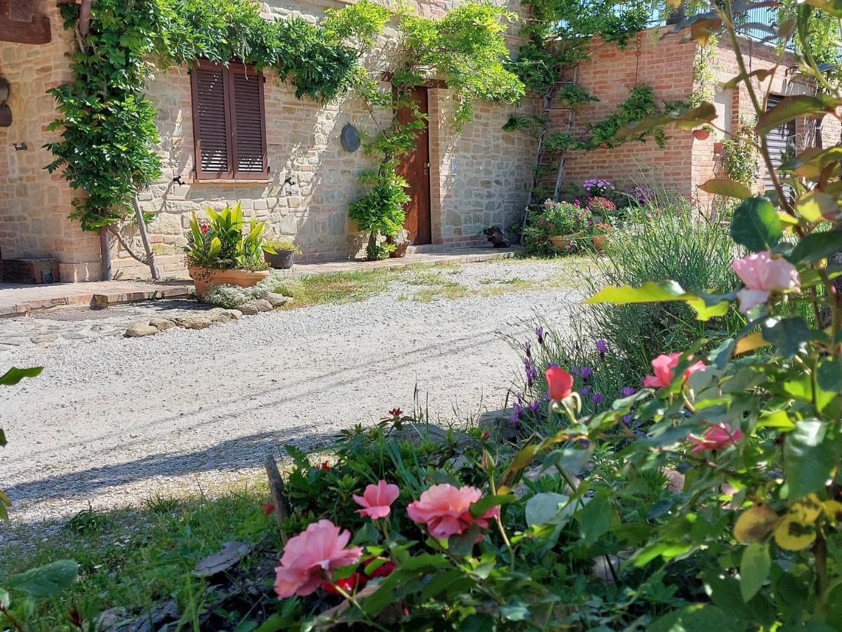 Casale San Martino Agriturismo Bio Sant'Angelo in Pontano Екстериор снимка