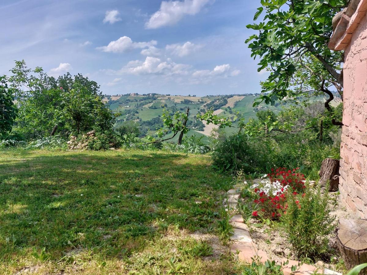 Casale San Martino Agriturismo Bio Sant'Angelo in Pontano Екстериор снимка