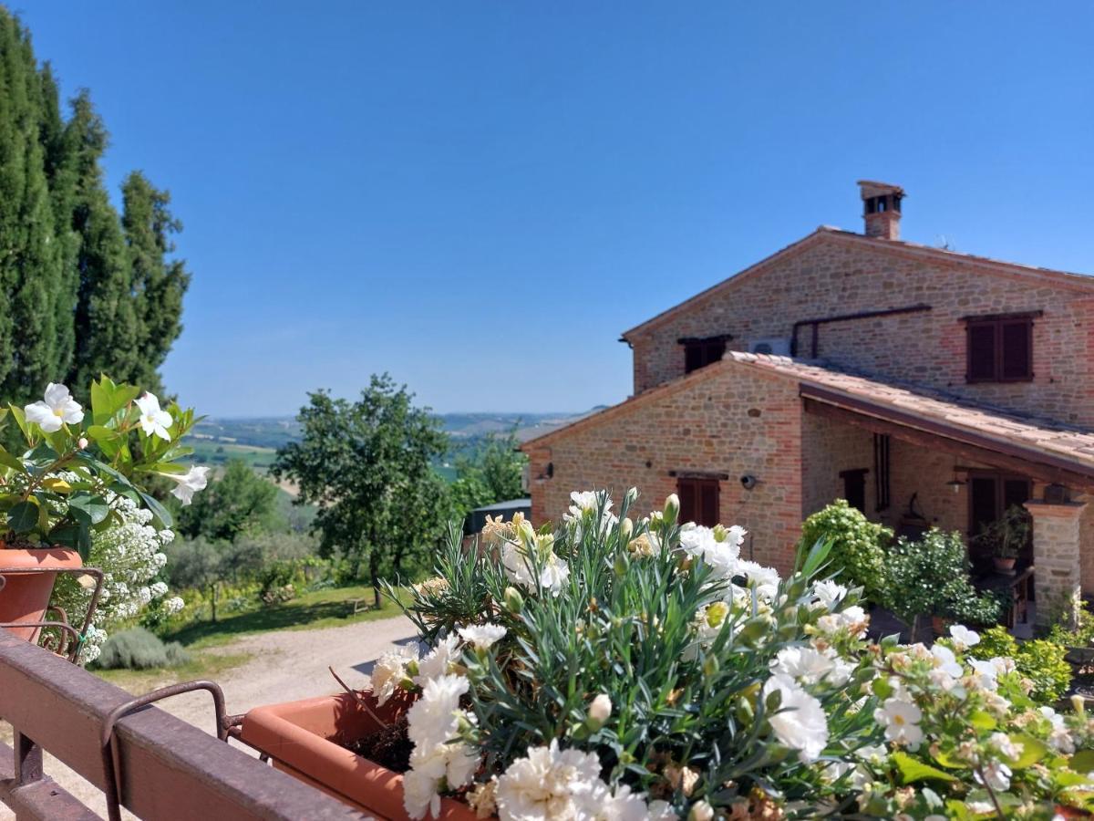Casale San Martino Agriturismo Bio Sant'Angelo in Pontano Екстериор снимка